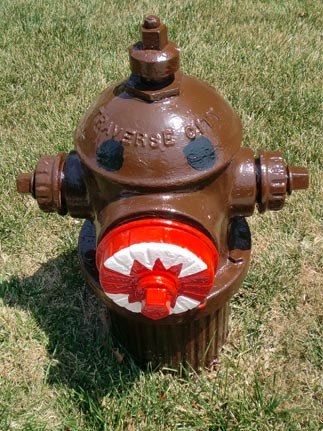 DOMO (Harry Potter) - 1305 S. Villa